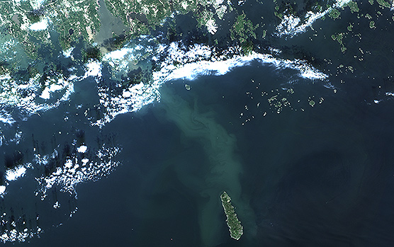 Sentinel-2-satelliitin kuva Suomenlahdesta 08052016